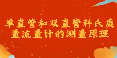 单直管和双直管科氏质量流量计的测量原理(图1)