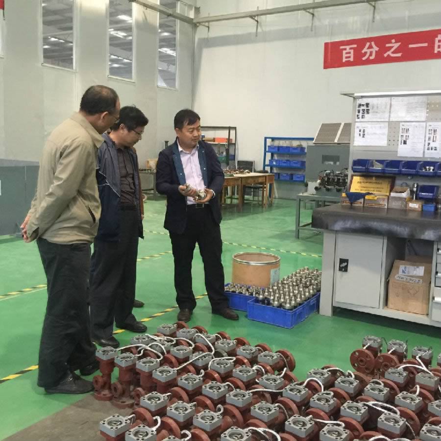 胜利油田领导莅临我公司实地考察(图5)