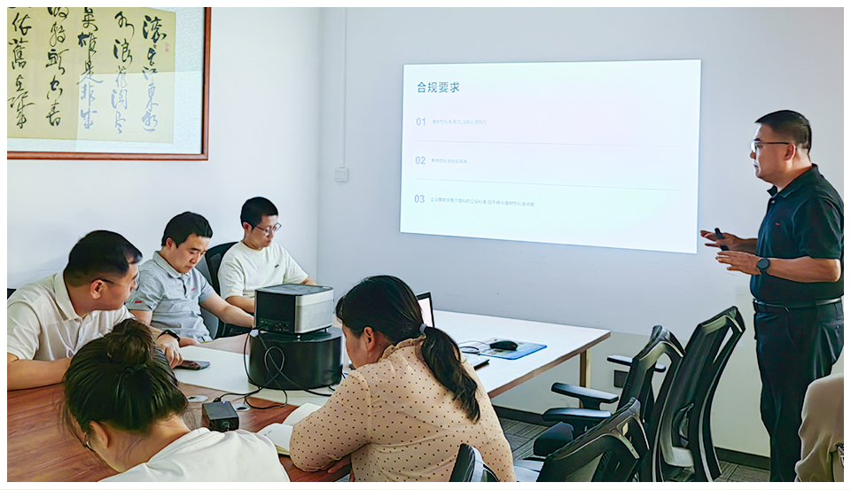 2025年suncitygroup太阳新城质量月——强化质量根基 铸就卓越品牌